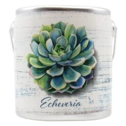 Christmas Decorations -Christmas Decorations 14005md