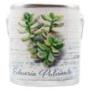 A Cheerful Giver Farm Fresh Candle (14236) -Christmas Decorations 14236lg