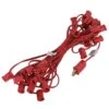 Vickerman Christmas Light String Set (36035) 1 Vickerman Christmas Light String Set (36035) -Christmas Decorations 36035lg