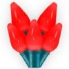 Vickerman Christmas Light String Set (398050) 2 Vickerman Christmas Light String Set (398050) -Christmas Decorations 398050alg