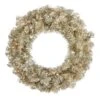 Vickerman Prelit Christmas Wreath (429105)