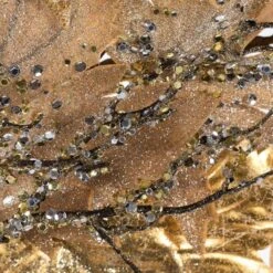 Vickerman Artificial Garland (640753) -Christmas Decorations 4607534md