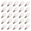 Vickerman Christmas Light Bulb Replacement (25 Pack) (509876) -Christmas Decorations 509876alg