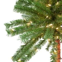 Vickerman Lighted Artificial Palm Tree (517383) -Christmas Decorations 517383addmd
