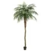 Vickerman Unlit Artificial Palm Tree (525678) -Christmas Decorations 525678lg