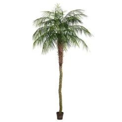 Vickerman Unlit Artificial Palm Tree (525678) -Christmas Decorations 525678md