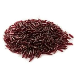 Vickerman Incandescent Mini Replacement Bulbs (500 Pack) (646595) -Christmas Decorations 646502pilemd