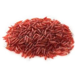 Vickerman Incandescent Mini Replacement Bulbs (500 Pack) (653982) -Christmas Decorations 646540pilemd