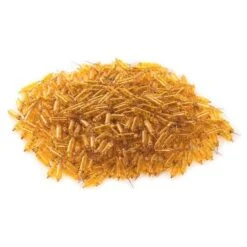 Vickerman Incandescent Mini Replacement Bulbs (500 Pack) (646717) -Christmas Decorations 646717pilemd