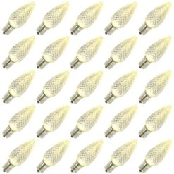 Vickerman LED Light Bulb (25 Pack) (647080)