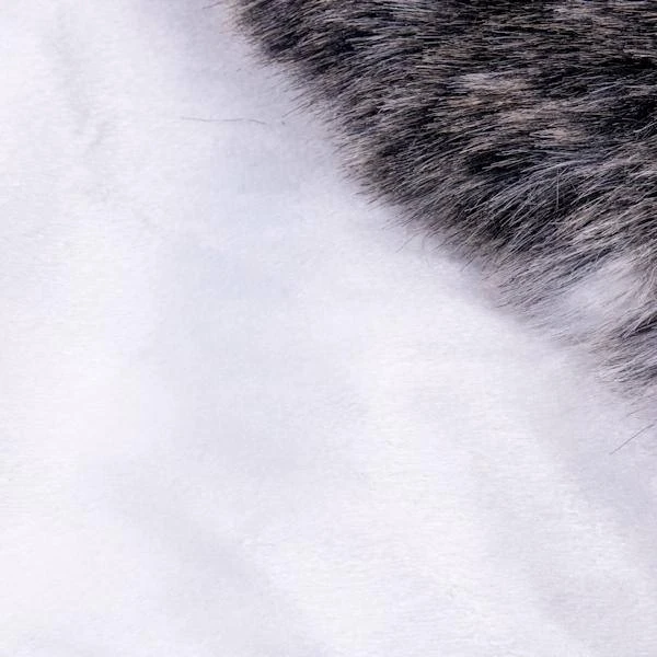 Vickerman Christmas Tree Skirt (686546) 8 Vickerman Christmas Tree Skirt (686546) - Image 6