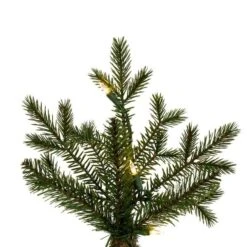 Vickerman Prelit Artificial Christmas Tree (718506) -Christmas Decorations 718506branchmd
