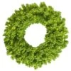 Vickerman Pre-Lit Artificial Christmas Wreath (28456) -Christmas Decorations Flocked20Lime20Wreathlg