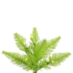 Vickerman Pre-Lit Christmas Tree (Includes On/Off Foot Switch) (28254) 7 Vickerman Pre-Lit Christmas Tree (Includes On/Off Foot Switch) (28254) -Christmas Decorations Lime20Fir20Branchmd