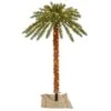 Vickerman Lighted Artificial Palm Tree (30220) -Christmas Decorations Palmlg